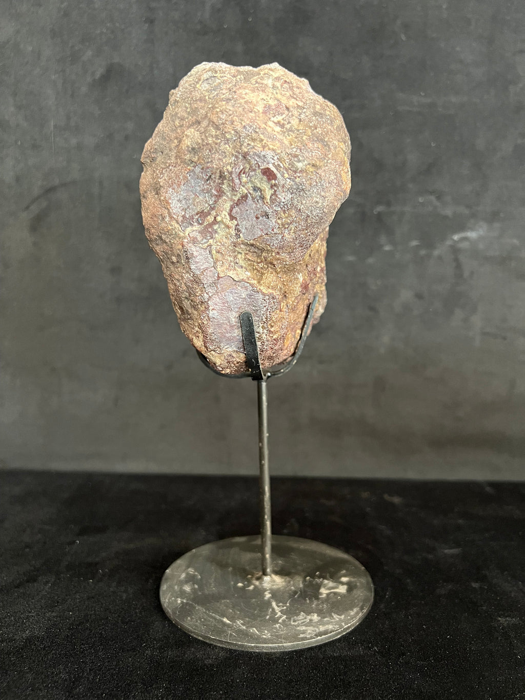 Agujaceratops